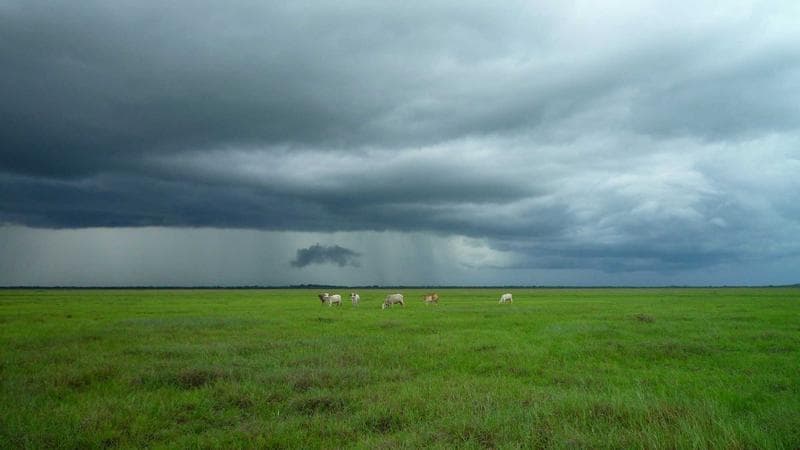 Descoberta arqueológica na Amazônia revela civilização desconhecida de 3 mil anos