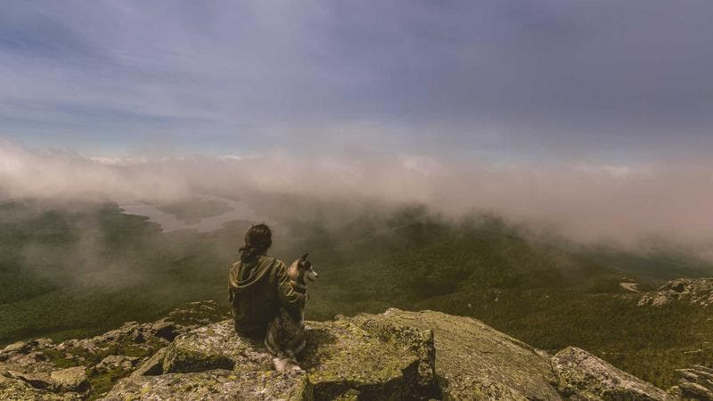 STF decide sobre marco temporal de terras indígenas em julgamento histórico