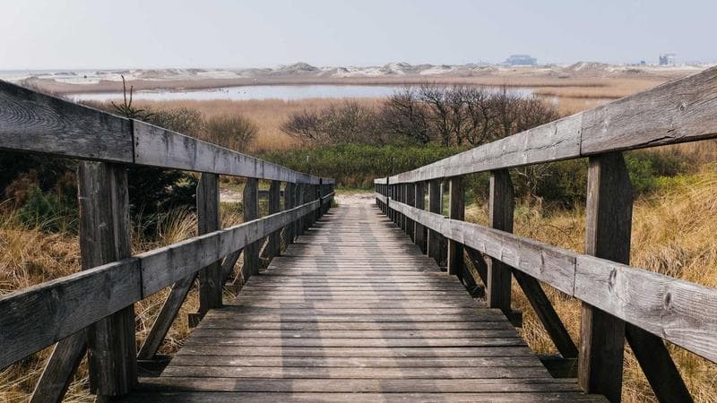 Netflix anuncia série sobre história do Brasil com elenco internacional