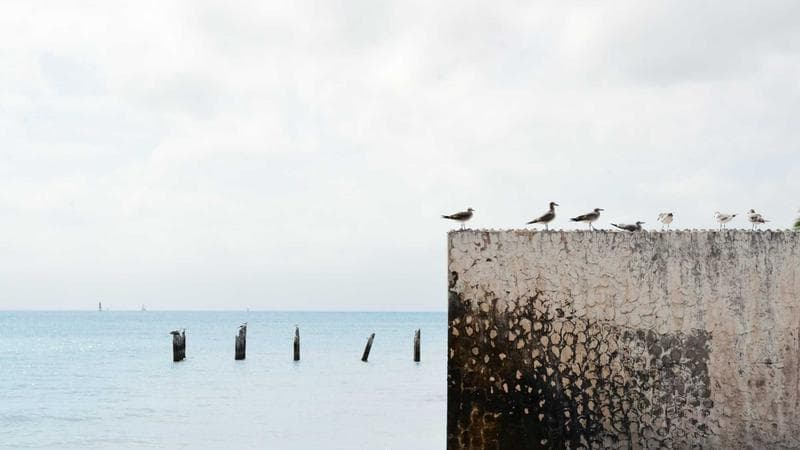 Uber lança serviço de táxi aéreo em São Paulo com voos a partir de R$ 99