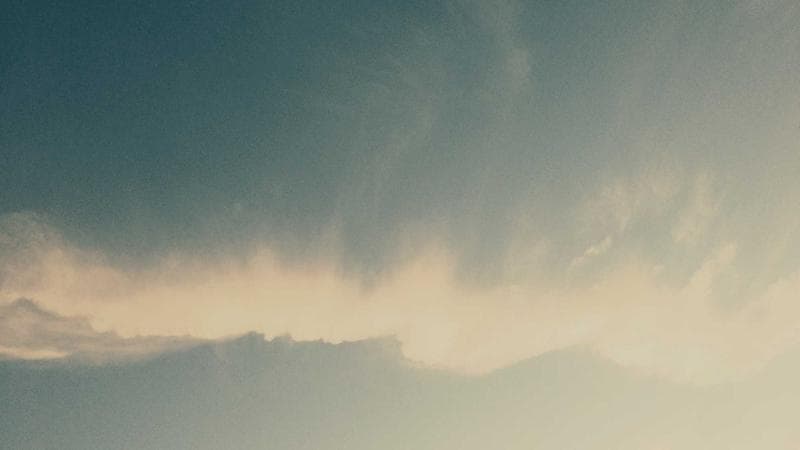 Exportações do agronegócio batem recorde histórico no primeiro trimestre